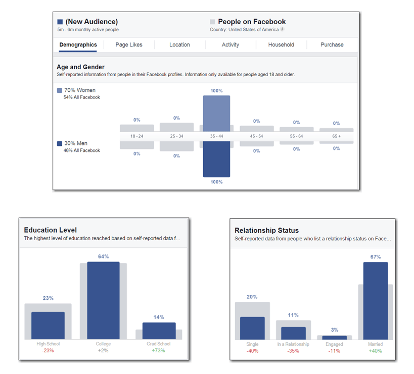 facebook audience insights