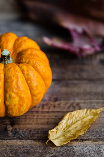 Autumn pumpkin 